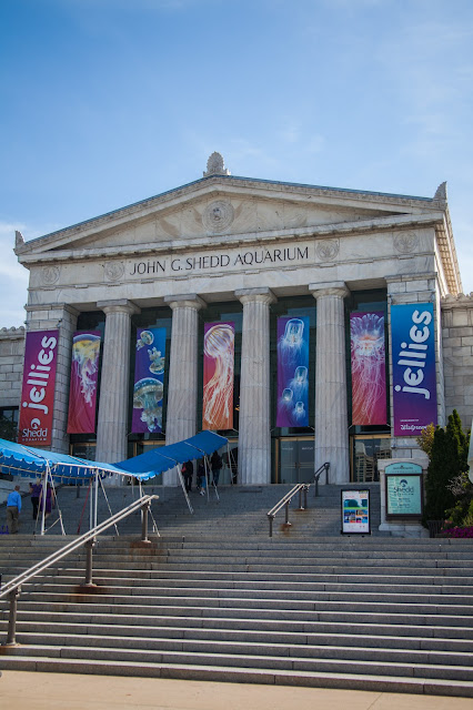 Shedd Aquarium