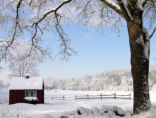 Fotografías de Invierno