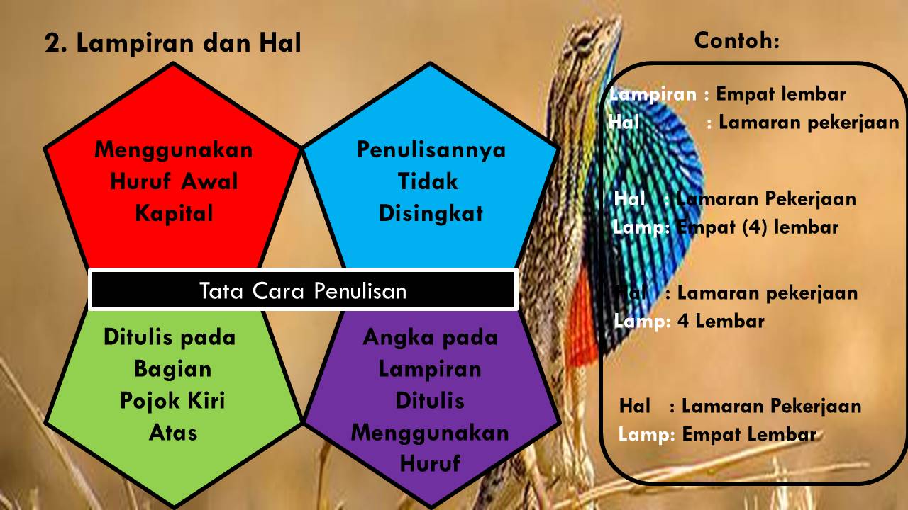 Belajar Bersama: Materi: Surat Lamaran Pekerjaan | Bahasa ...