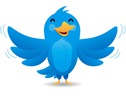 twitter-pajaro