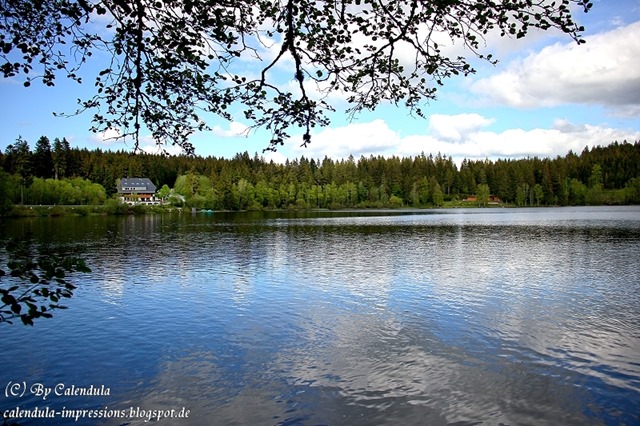 Windgfällweiher Seerundgang