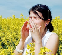 Pengertian dan Penyebab Alergi