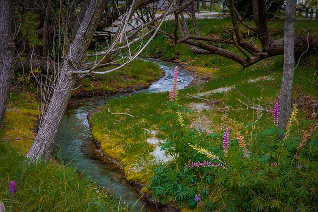 Queenstown Gardens, queenstown skiing, copthorne hotel queenstown, auckland new zealand, quest bendigo,