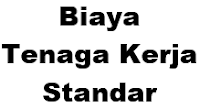 Biaya Tenaga Kerja Standar