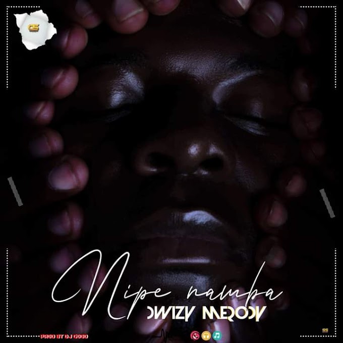 AUDIO | Dwizy melody - Nipe namba | DOWNLOAD MP3