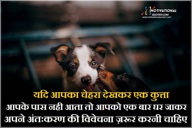 Dog Quotes Image Hindi || डोग क़ोटस इमेजेस हिन्दी