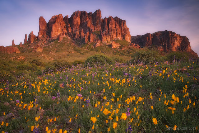 Beautiful Seasonal Landscape 