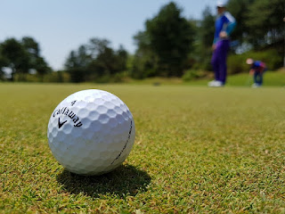 100 Year Old Golf Ball, Golf Cart Rentals Near Me, Golf Course Near Me