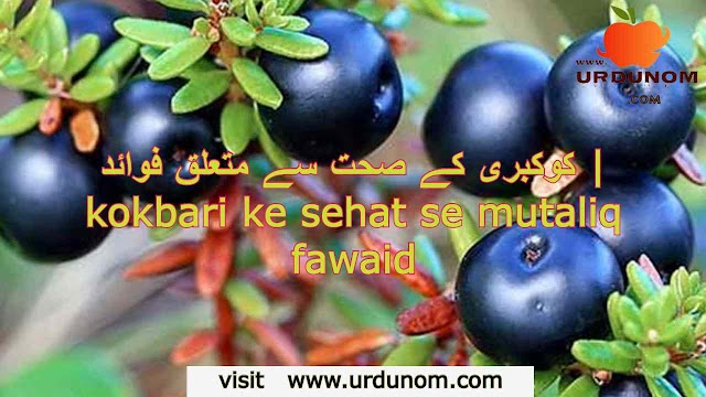 کروبیری کے صحت سے متعلق فوائد | crowberry ke sehat se mutaliq fawaid