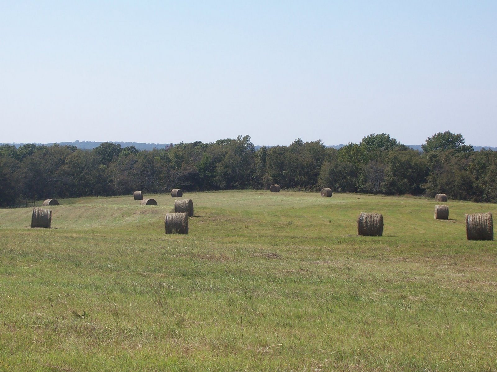 How To Feed A Round Bale With Less Waste Oak Hill Homestead