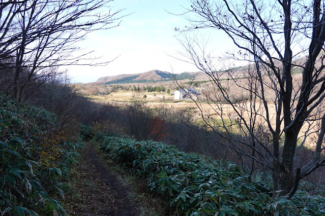 岡山県真庭市蒜山上福田 擬宝珠山登山道