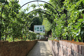 Root and Shoots Garden The Alnwick Garden Northumberland