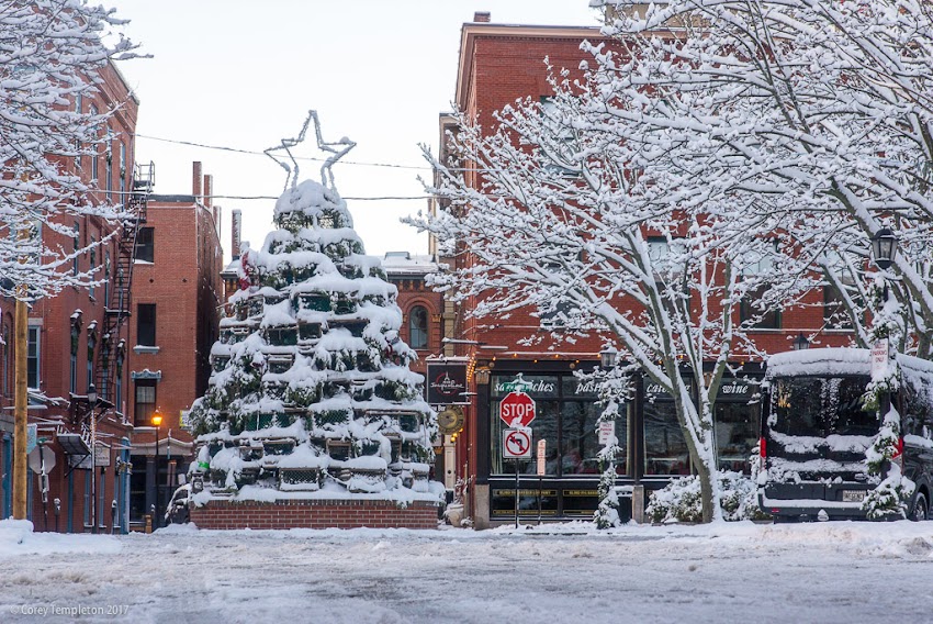 Portland, Maine USA December 2017 photo by Corey Templeton. The lobster trap tree in front of The Portland Regency Hotel & Spa, from a pleasant post-snow walk this morning.