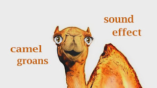 #Camel #sound #effect #animation