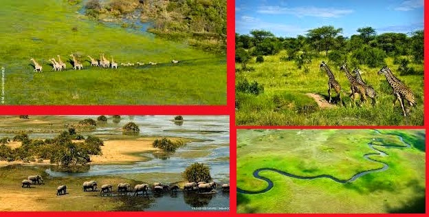 Le Botswana une destination touristique unique en Afrique