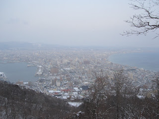 The landscape from the halfway trails on Mt Hakodate...