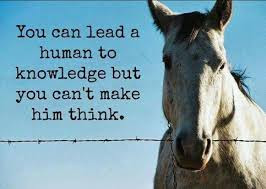 Image:  A horse stares brazenly over a barbed wire fence declaring:  "You can lead a human to knowledge; but you can't make him think."  In My NTCC My NTCC:  "Be ye not as the horse or mule, which have no understanding: whose mouth must be held in with bit and bridle, lest they come near unto thee." - (Psa 32:9) - At least think about it.