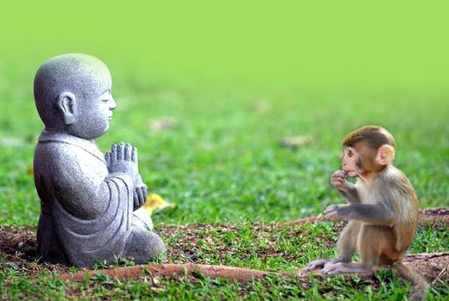 Những giá trị cuộc sống khiến chúng ta phải suy ngẫm