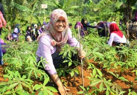 UNNES tanam 1.300 Bibit Tanaman Di Mangunsari Gunungpati