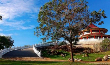 Keindahan Panorama Pantai dan Pesona Pasir Putih Pantai Tikus Bangka Belitung