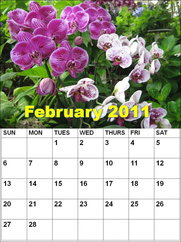 2011 Calendar Word. BLANK FEBRUARY 2011 CALENDAR