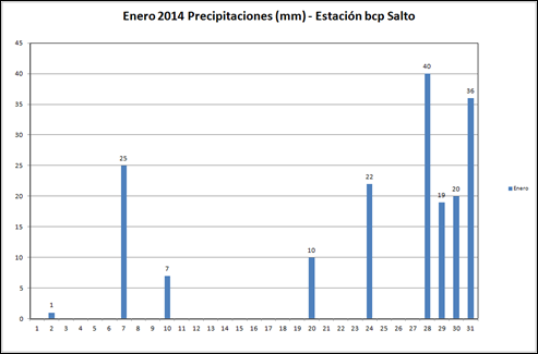 Precipitaciones (Enero 2014)