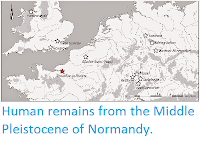 https://sciencythoughts.blogspot.com/2014/10/human-remains-from-middle-pleistocene.html