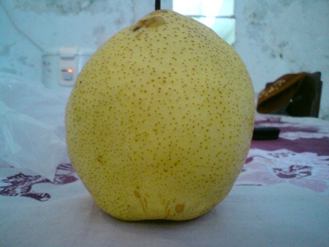 pear (1)