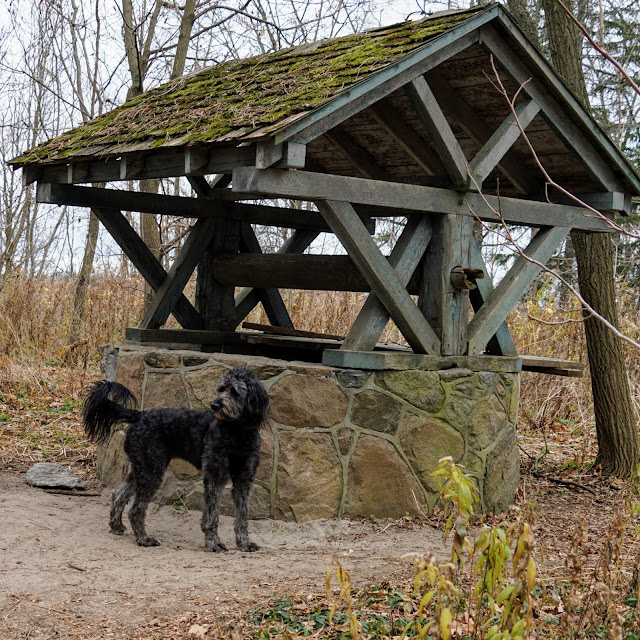 Wishing well seen while hiking the Bob Hunter Memorial Trail