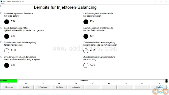 inpa-diagnose-msd80-19