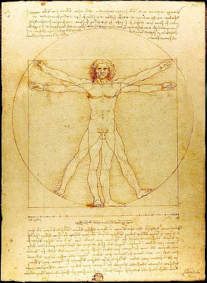 vitruvian man leonardo da vinci