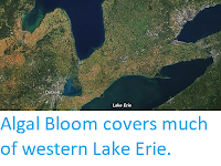 http://sciencythoughts.blogspot.co.uk/2017/10/algal-bloom-covers-much-of-western-lake.html