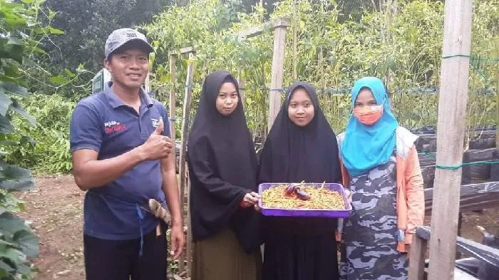 Diam-diam, walau berada di pelosok, warga di Desa Mangkalapi Kecamatan Kusan Hulu rupanya serius menerapkan anjuran pemerintah. Menerapkan ketahanan pangan dari pekarangan rumah tangga.