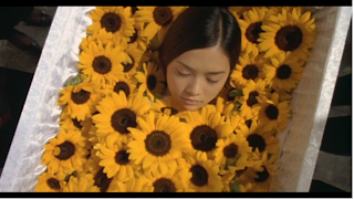 YUI in sunflower coffin