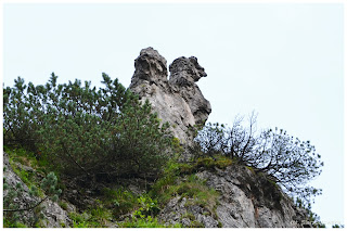 Dolina za Bramką - szlaki w Tatrach