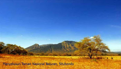 Taman Nasional Baluran Situbondo  