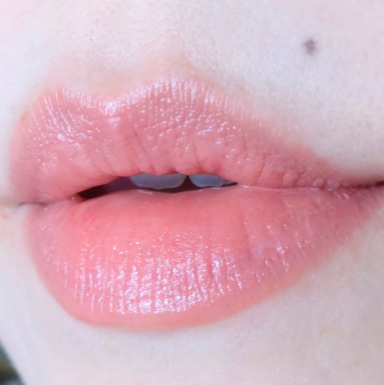 chanel makeup lipstick lot