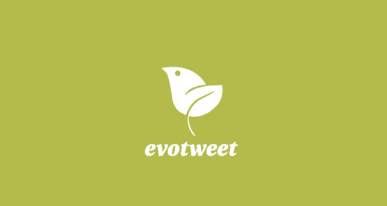 Design samples: Logo with birds