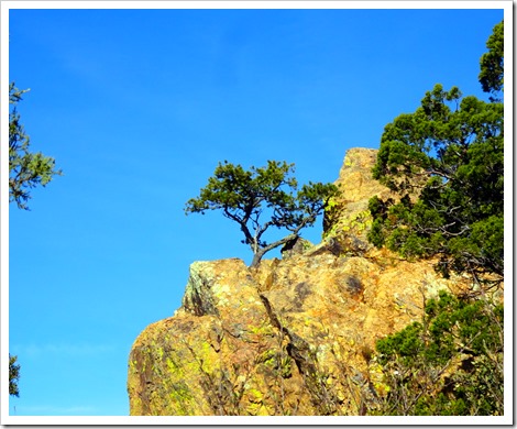 Lost Mine Trail...Big Bend