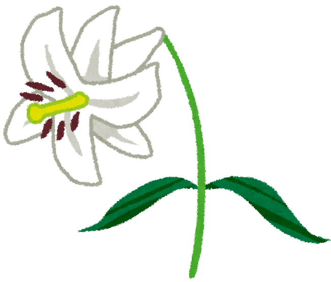 ユリのイラスト かわいいフリー素材集 いらすとや ユリのイラスト かわいいフリー素材集 いらすとや