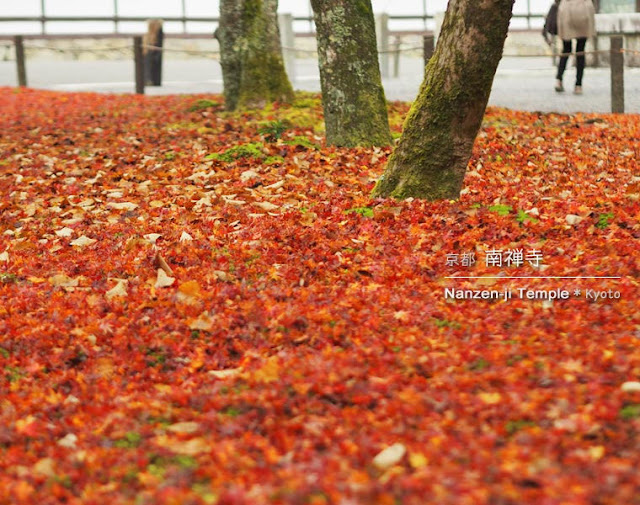 [京都] 南禅寺の紅葉