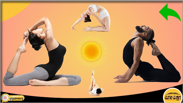 Yoga Asanas or Yoga poses and Their Benefits | Yogashree