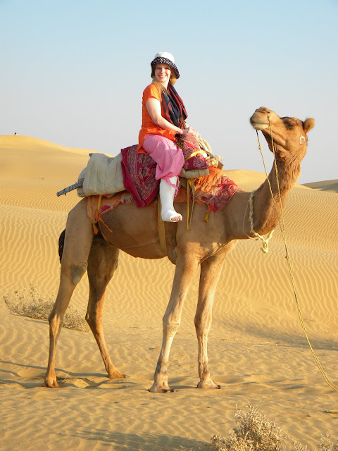 mammalia,animalia,cattle,camel,gif camel,gif ass,wilds,riding,dangerso,funny camel,camel riding