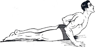 Bhujangasan or Cobra pose - Steps and Benefits