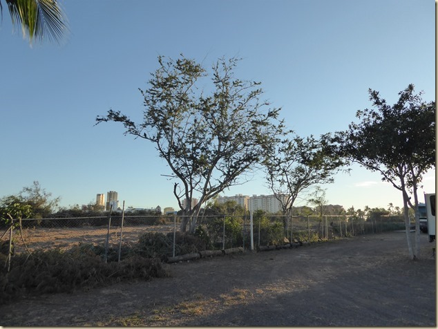 P1000295