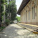 View album