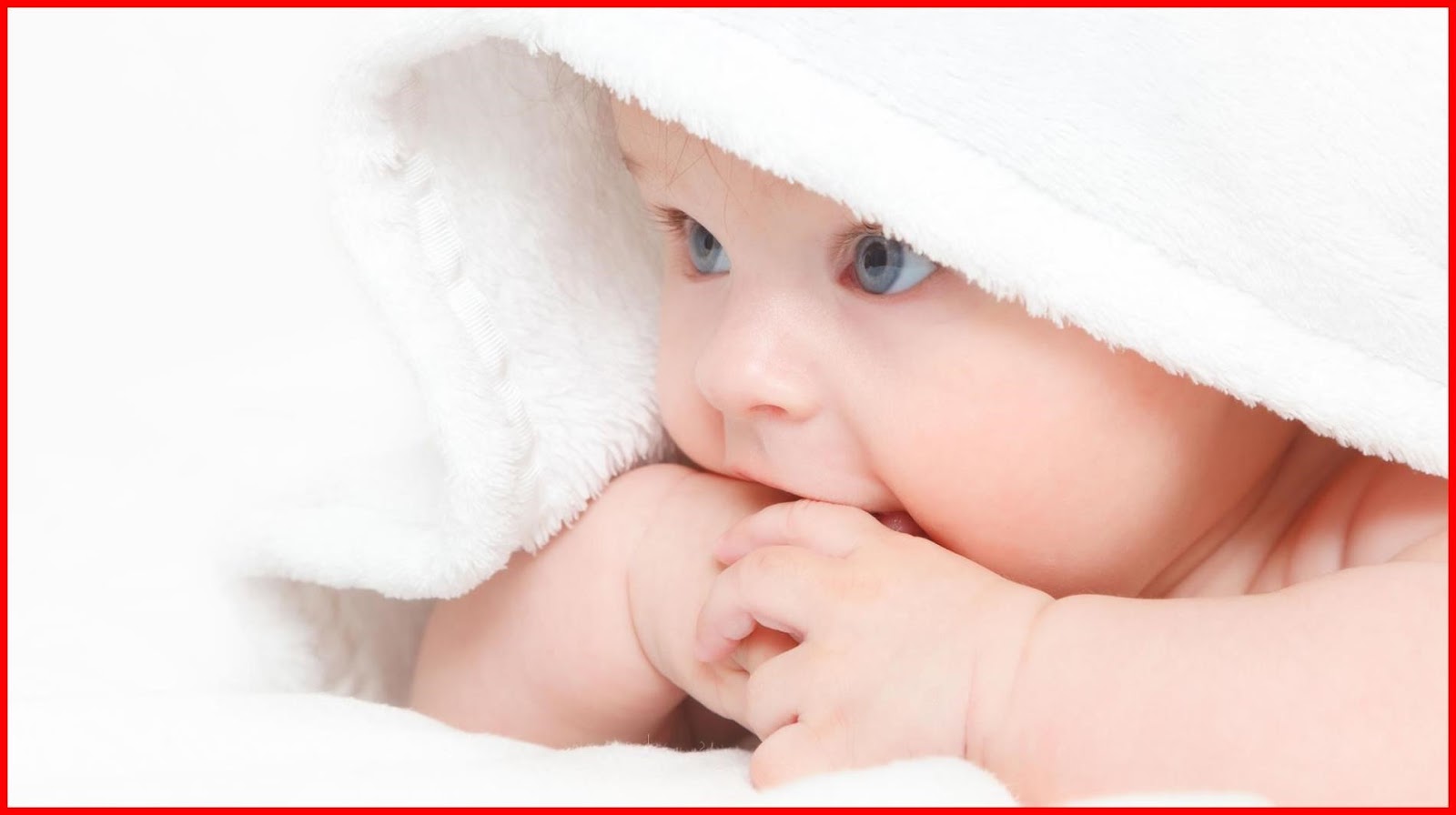 17 Sleep Lab Kitchener One Fertility Kitchener Waterloo Sleep,Lab,Kitchener 17 Sleep Lab Kitchener One Fertility Kitchener Waterloo Sleep,Lab,Kitchener