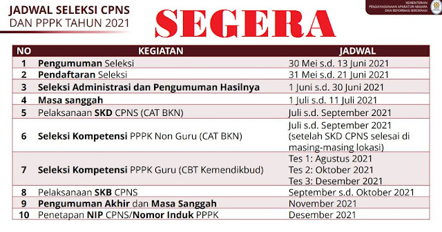 Pendaftaran CPNS dan PPPK Dimulai 30 Mei 2021! Berikut Jadwal Lengkapnya