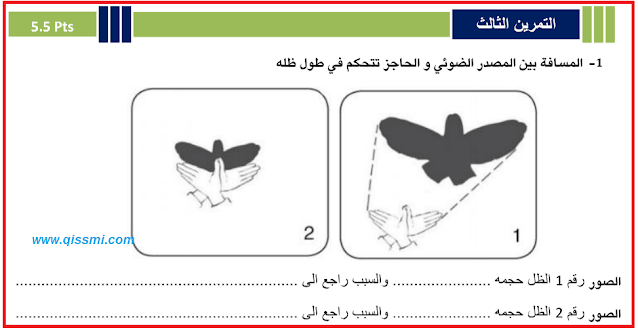 فرض النشاط العلمي  رقم 3