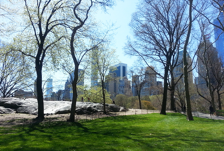 Parc à New York et buildings